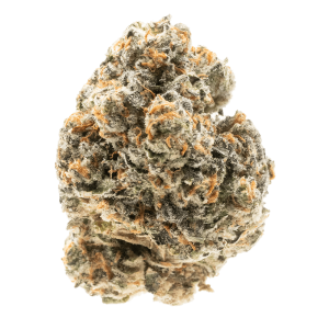 Blue Zushi- Indica