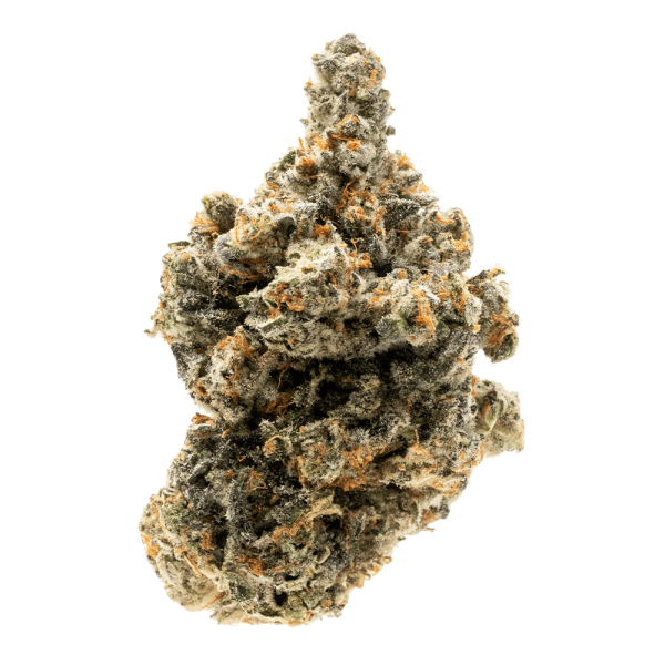 Blue Zushi- Indica - Image 3