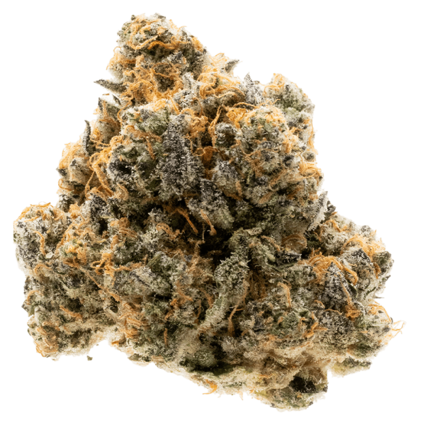 Gelato 41- Hybrid - Image 2