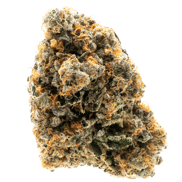 Gelato 41- Hybrid - Image 3